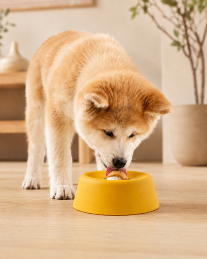 Zen Bowl™ - Calming Lick Bowl for Anxious Dogs